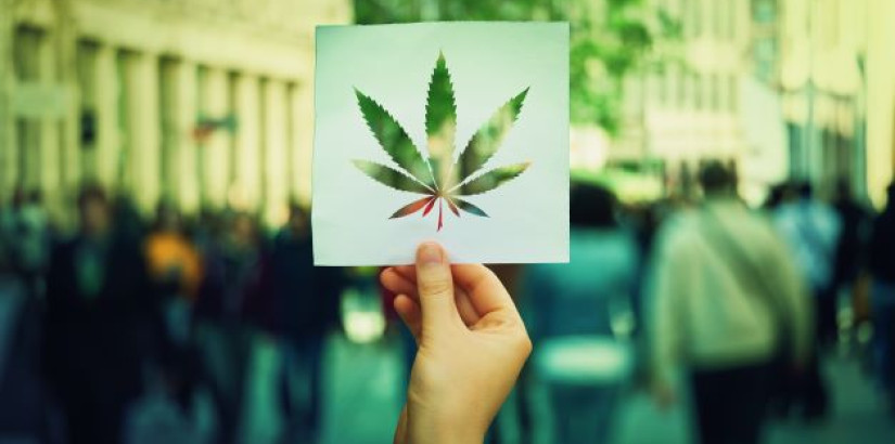Beyond Cannabis: Experts Call for Rational Regulation and Policy Reform